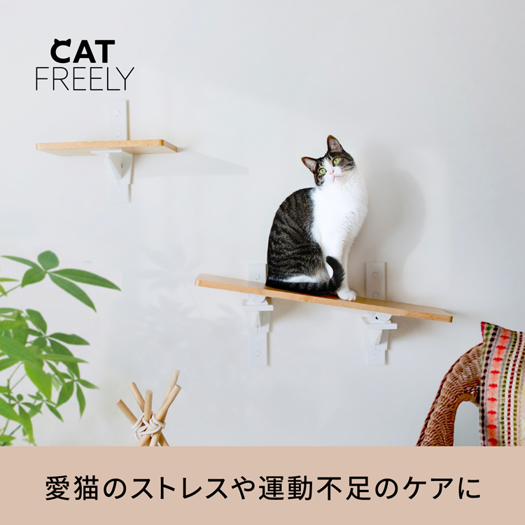 CAT FREELY キャットステップ ホワイト : パーツEX - 通販 - Yahoo