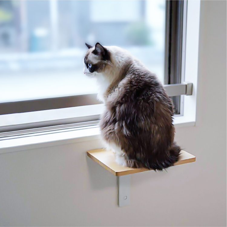 CAT FREELY キャットステップ ホワイト : パーツEX - 通販 - Yahoo