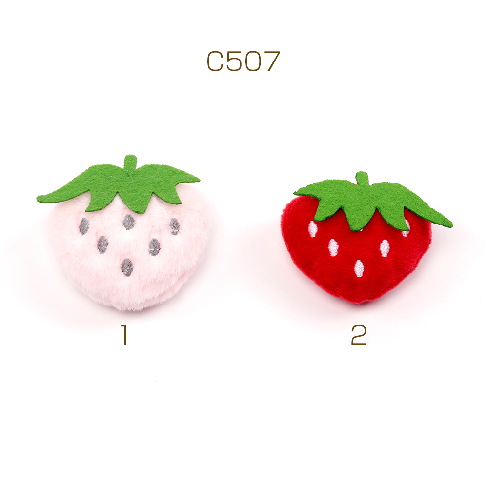 C507_1.jpg