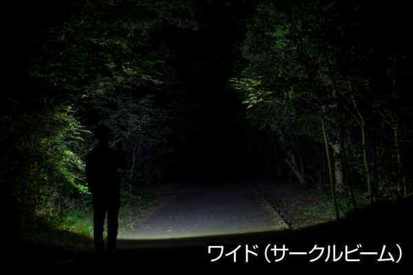 閃 ジェントス FLP-2305 閃シリーズ フラッシュライト 明るさ最大320