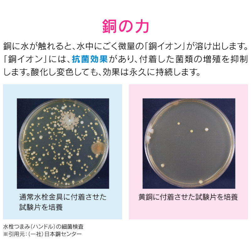 ガオナ これカモ 流し用浅型ゴミカゴプレートセット 銅製 ゴミ受け ふた付き キッチン 流し台 台所 抗菌 GA-PB028 日本製 GAONA カクダイの画像
