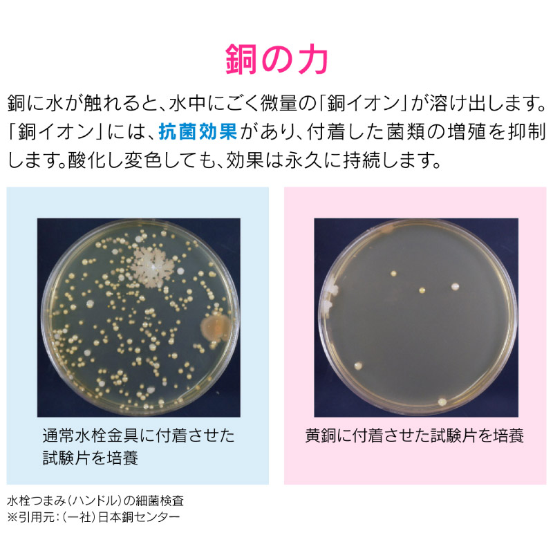 カクダイ（KAKUDAI） ガオナ これカモ 流し用排水交換セット 8センチ用