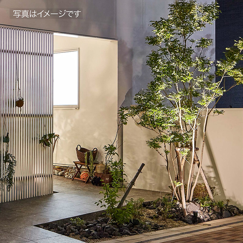 タカショー ガーデンライト ひかりノベーション 木のひかり 追加用