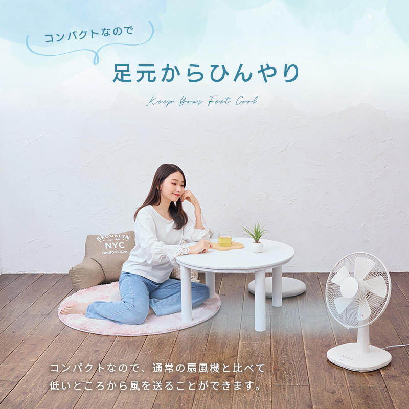 ユアサプライムス リビング扇風機 YT-3011F 5枚羽根 30cm羽根