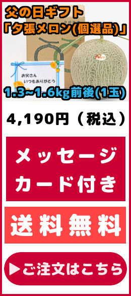父の日ギフト 夕張メロン 個選品 1玉