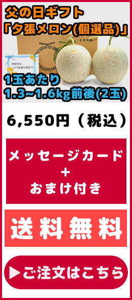父の日ギフト 夕張メロン 個選品 2玉