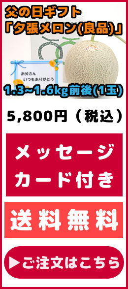 父の日ギフト 夕張メロン 良品 1玉