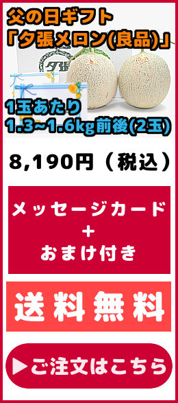 父の日ギフト 夕張メロン 良品 2玉