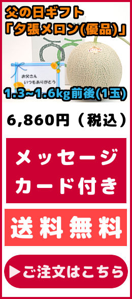 父の日ギフト 夕張メロン 優品 1玉