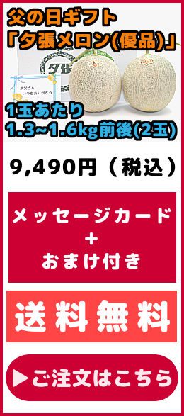 父の日ギフト 夕張メロン 優品 2玉