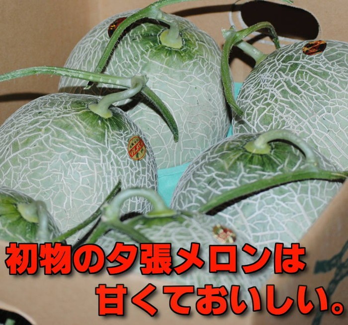 初物の夕張メロンは甘くておいしい。