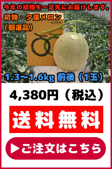 夕張メロン 初物 1玉 個選品 1.3kgから1.6kg前後 初競り 初せり 初セリ お取り寄せグルメ : y-melon017 : 夕張商店 -  通販 - Yahoo!ショッピング