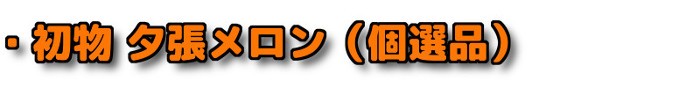 ・初物 夕張メロン 個選品