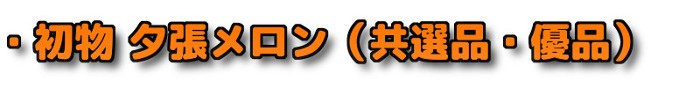 ・初物 夕張メロン 共選品 優品