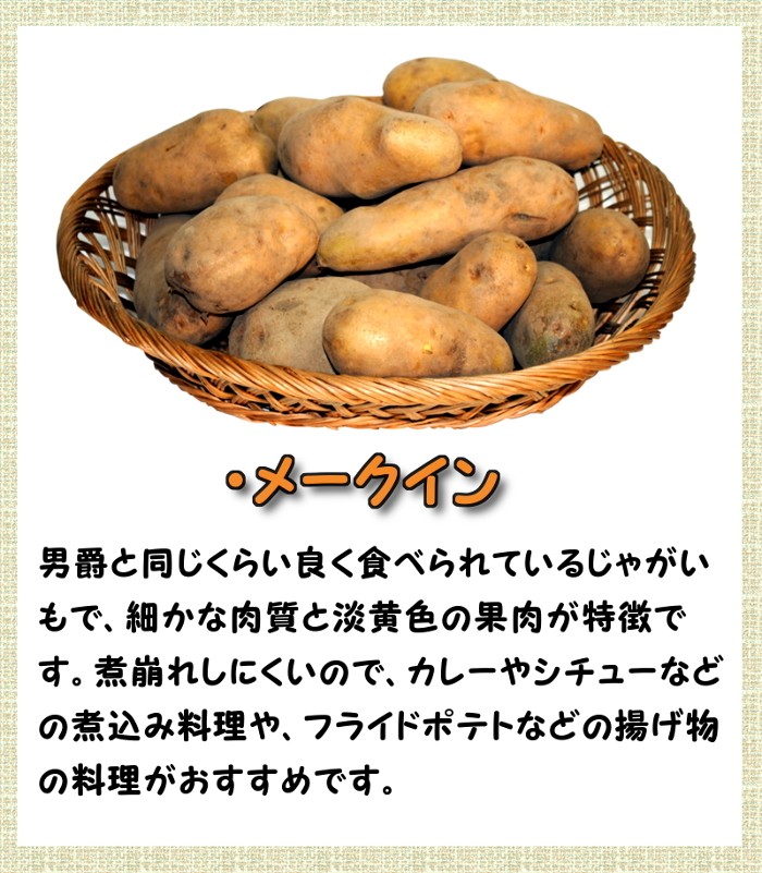 栃木県産 メークイン 20kg 新ジャガイモ　値下げ！　じゃがいも 新じゃがいも メークイン 20kg LMサイズ から Lサイズ 混合 北海道産