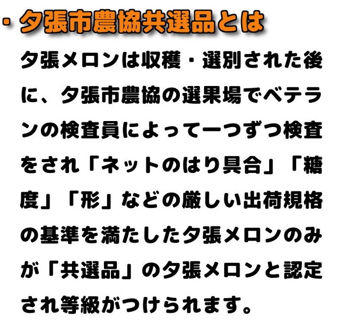 ・夕張市農協 共選品 とは