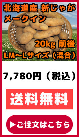 新じゃがいも20キロ 新じゃがいも メークイン 20kg LMサイズ から Lサイズ 混合