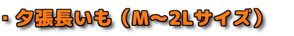 ・夕張長芋 Mサイズから2Lサイズ ながいも ナガイモ 長いも