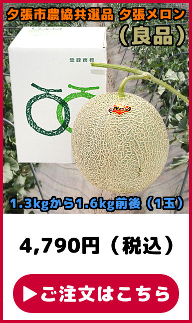 共選品 夕張メロン 良品 1玉