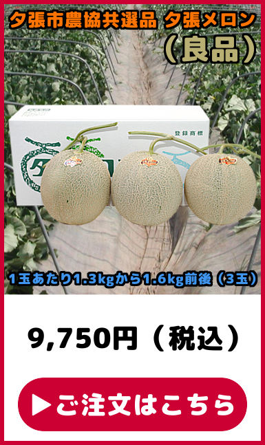 共選品 夕張メロン 良品 3玉
