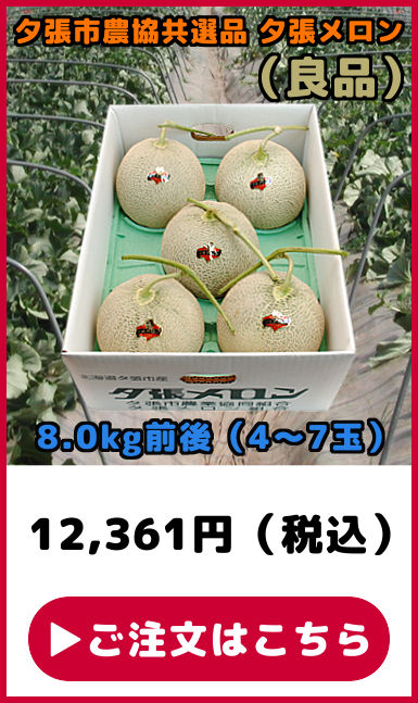 共選品 夕張メロン 良品 8kg 4玉から7玉