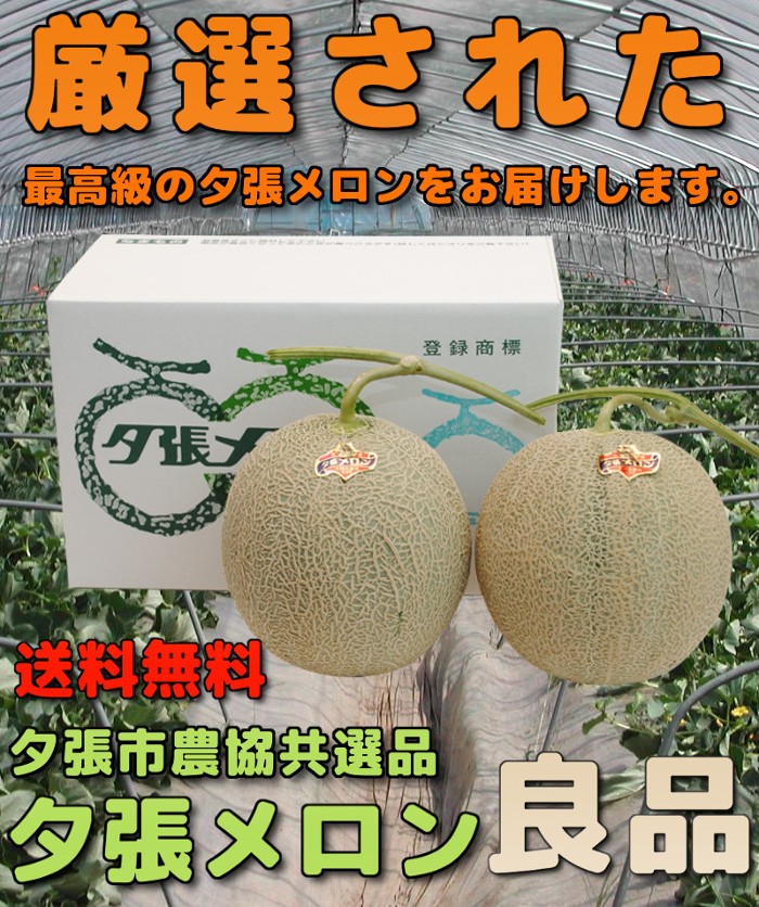 送料無料 夕張市農協 共選品 良品