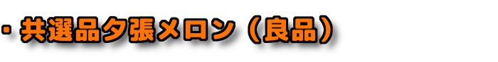 ・共選品 夕張メロン 良品