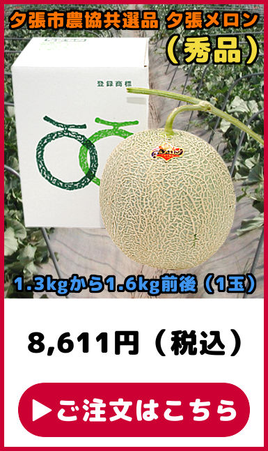 共選品 夕張メロン 秀品 1玉