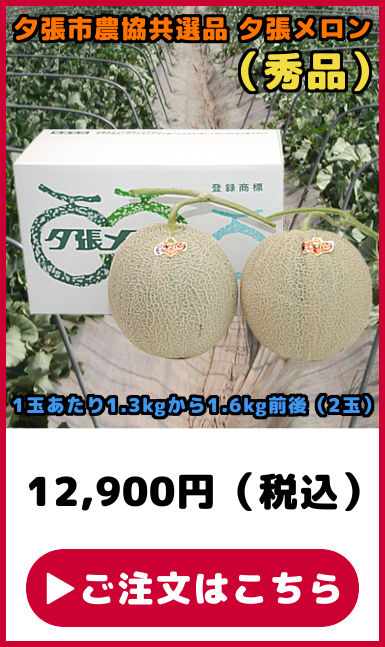 共選品 夕張メロン 秀品 2玉