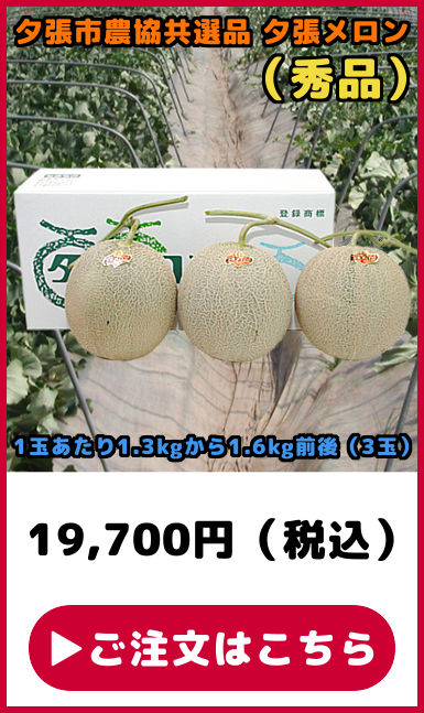 共選品 夕張メロン 秀品 3玉