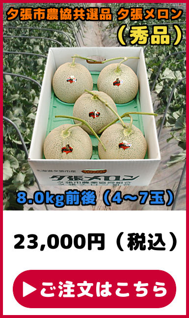 共選品 夕張メロン 秀品 8kg 4玉から7玉