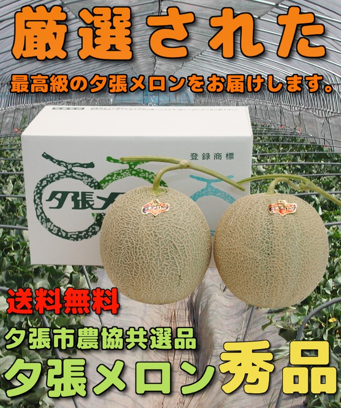 送料無料 夕張市農協 共選品 夕張メロン 秀品