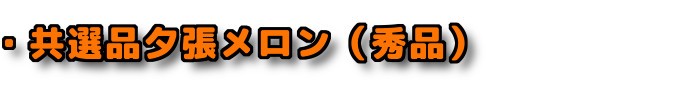 共選品 夕張メロン 秀品