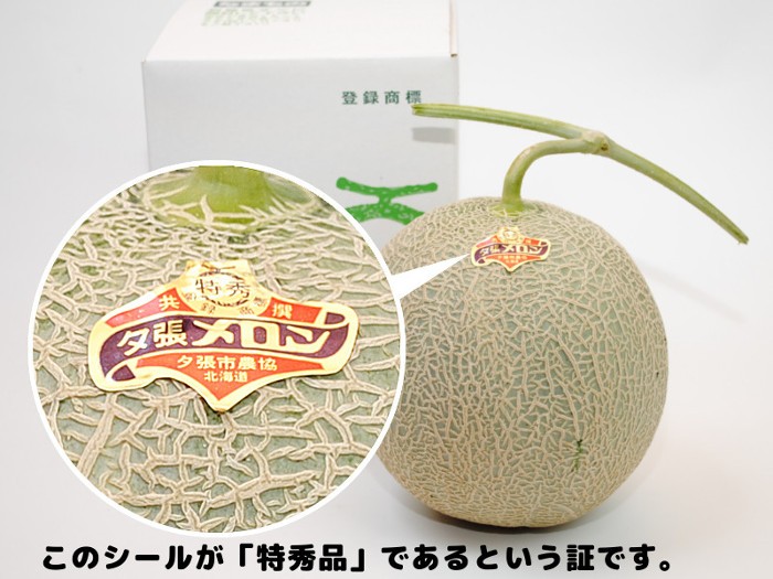 予約】 夕張メロン 8kg 前後 共選品 特秀品 5玉または6玉 贈答品