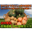 北海道産 旬の野菜セット