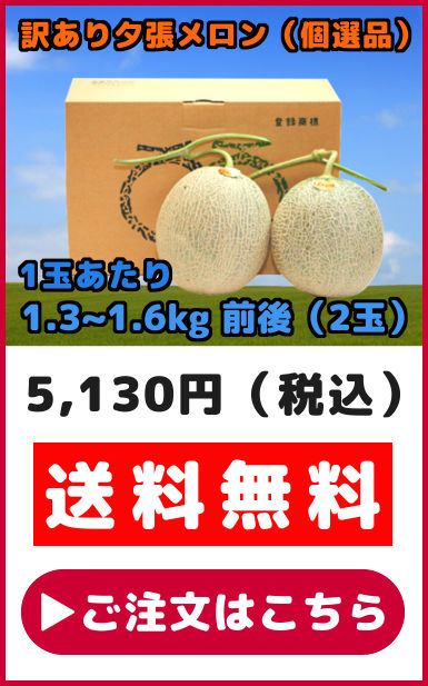 夕張メロン 訳あり 2玉 個選品 1玉あたり 1.3から1.6kg 前後 お取り寄せグルメ