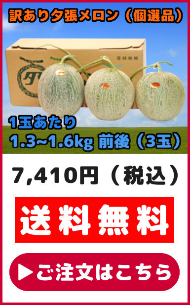 数量限定セール品 夕張メロン 訳あり 8kg 前後 個選品 3玉から7玉 お取り寄せグルメ : y-melon004 : 夕張商店 - 通販 -  Yahoo!ショッピング