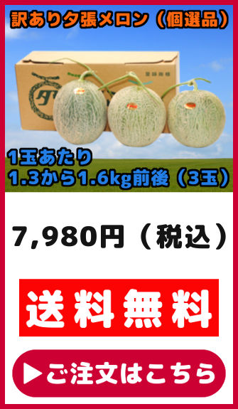 訳あり 夕張メロン 3玉