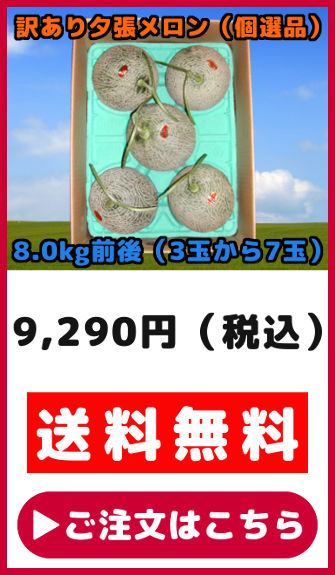 予約】 夕張メロン 訳あり 8kg 前後 個選品 3玉から7玉 お取り寄せ