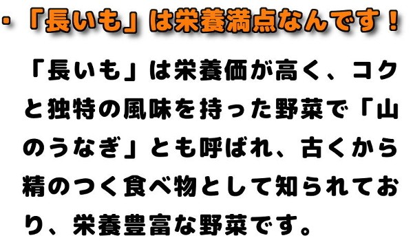 ・長芋は栄養満点の野菜です。