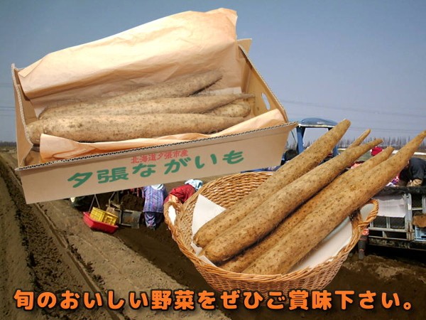 旬の野菜をぜひご賞味下さい。