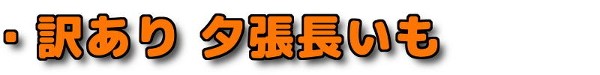 ・訳あり 夕張長芋