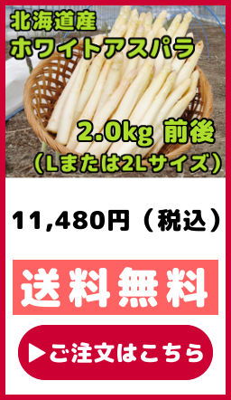 北海道産 ホワイトアスパラガス 2kg 前後 Lまたは2Lサイズ