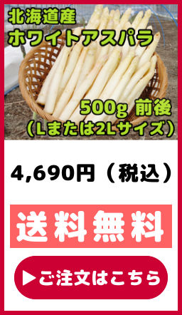 北海道産　ホワイトアスパラガス　500g　前後　Lまたは2Lサイズ