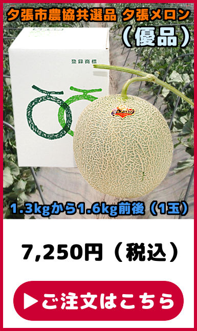 予約】 夕張メロン 3玉 共選品 優品 1玉あたり 1.3kgから1.6kg 前後