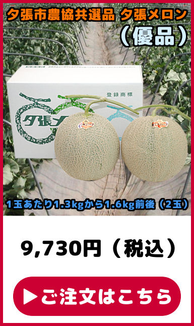 予約】 夕張メロン 3玉 共選品 優品 1玉あたり 1.3kgから1.6kg 前後