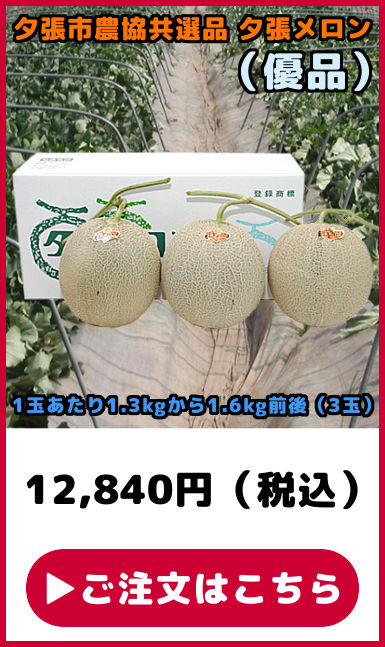 共選品 夕張メロン 優品 3玉