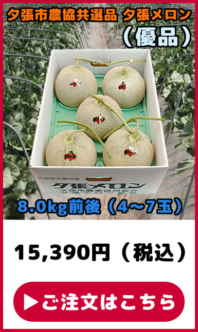 共選品 夕張メロン 優品 8kg 4玉から7玉