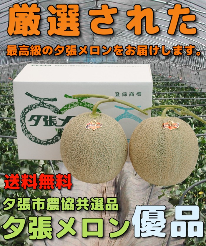 送料無料 夕張市農協共選品 優品