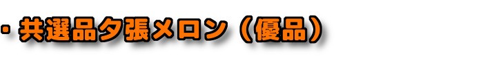 ・共選品 夕張メロン 優品